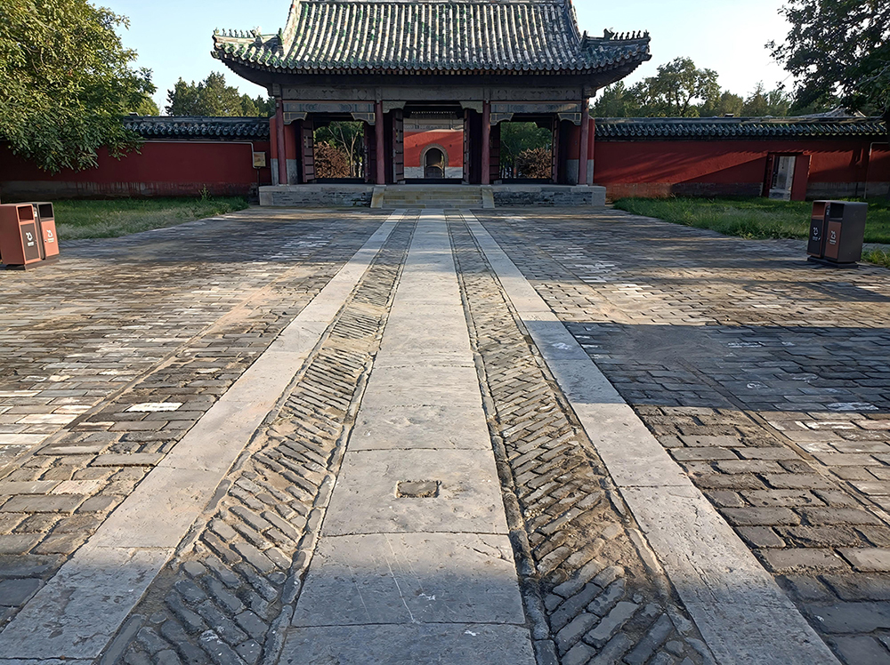 袁林环境整治